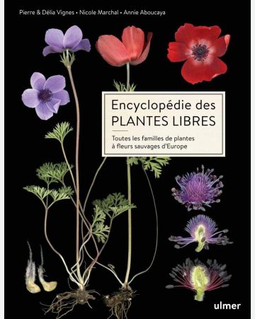 Le livre perdu des plantes médicinales - Livre de Nicolas , Claude