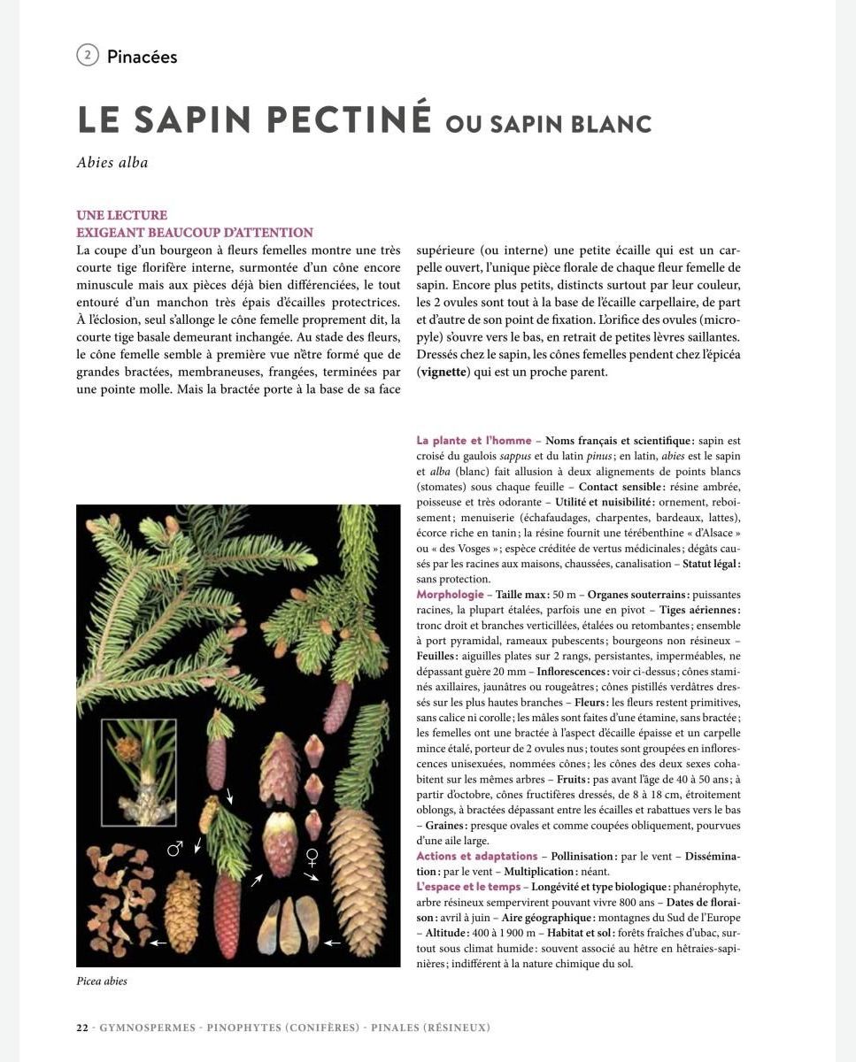 Encyclopédie des plantes libres – Tela Botanica