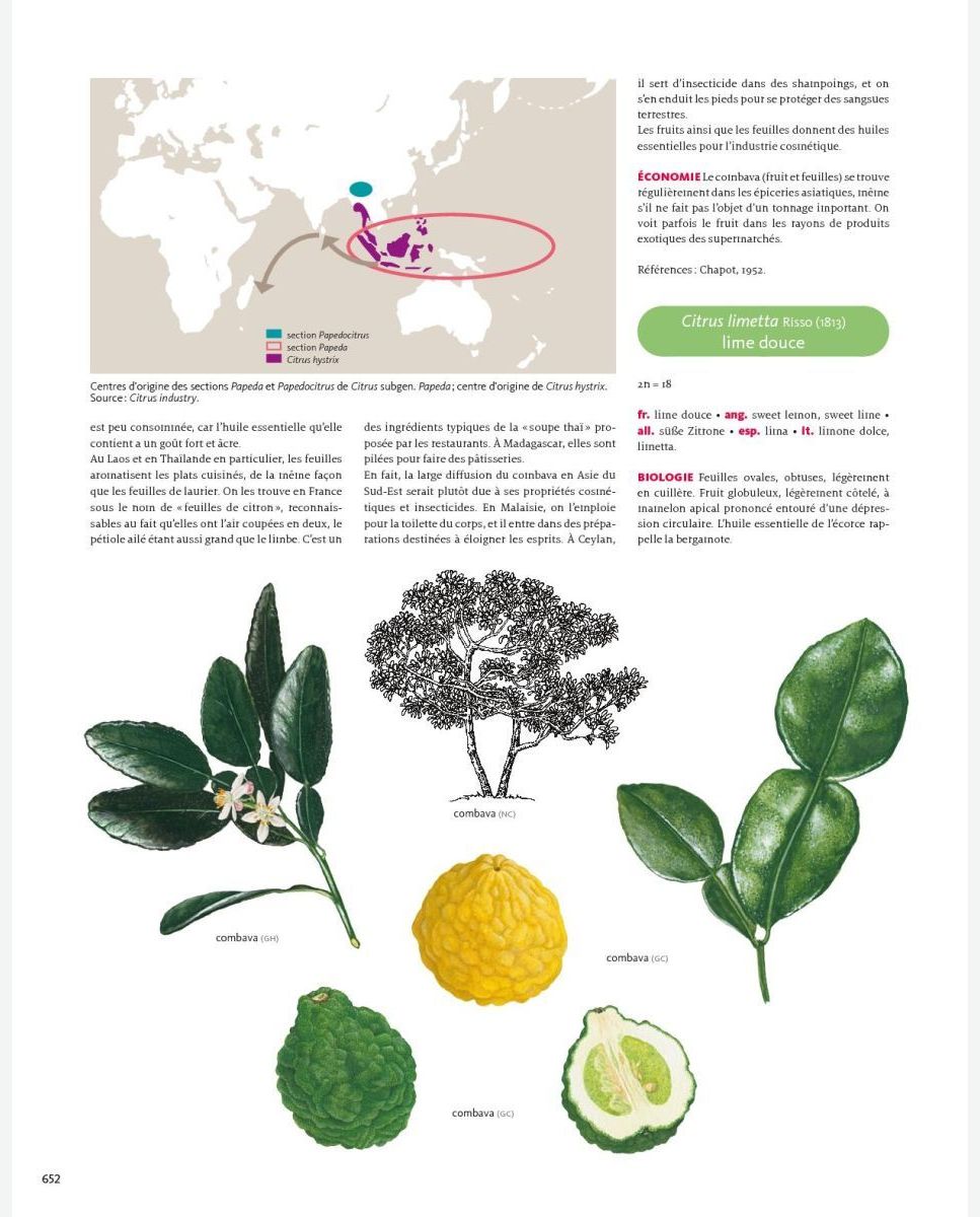 Mini-guide des plantes sauvages – Tela Botanica