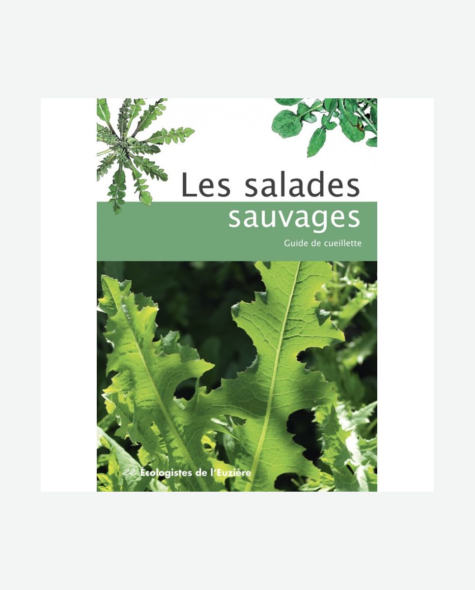 Les salades sauvages