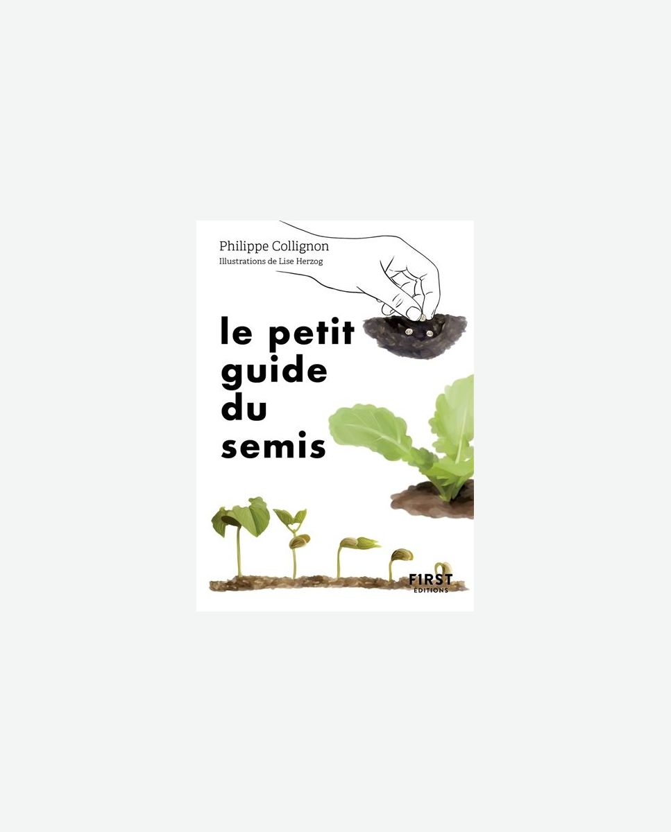 Ail : semis, récolte, entretien - Fiches pratiques du jardin