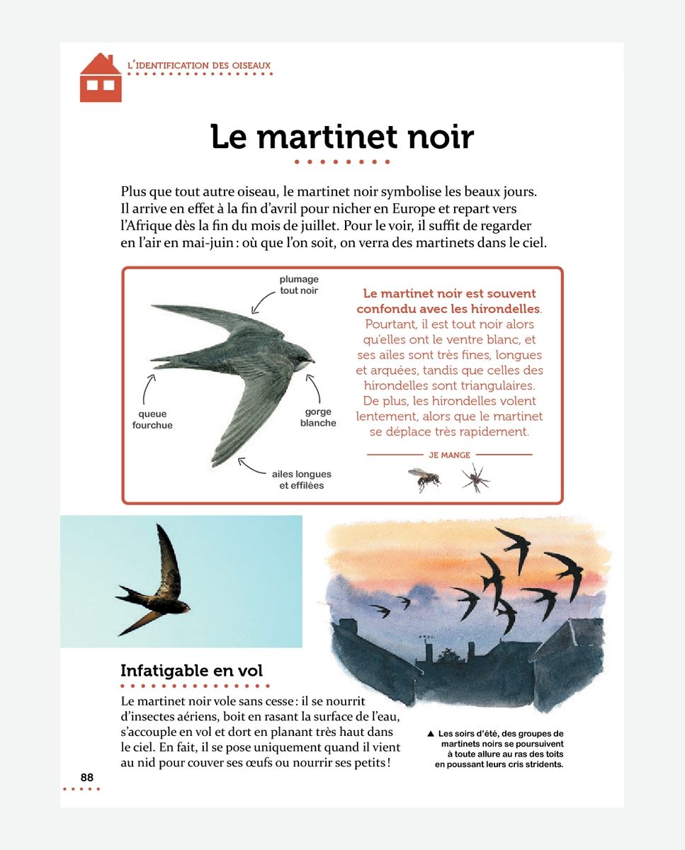 Les Oiseaux de Grand Est: Un Carnet D'observation Des Oiseaux Simple Et  Convivial Pour Les Ornithologues Français Et Les Amoureux De La Nature. 
