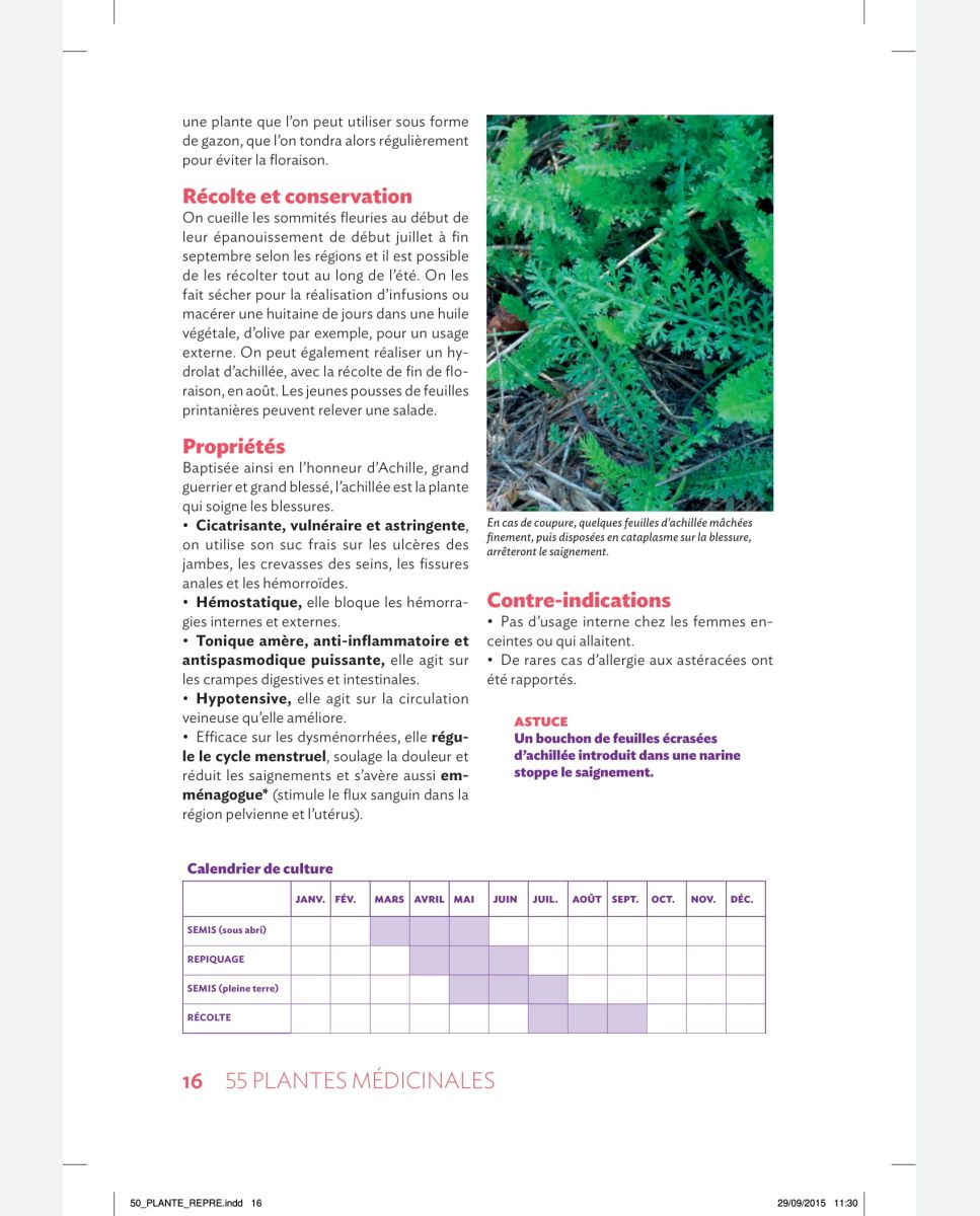 Les Plantes Médicinales en Biodynamie - Livre de Collectif dirigé