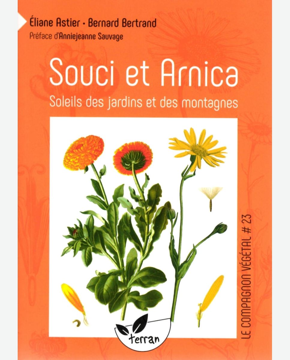 arnica bio - LA SOCIÉTÉ DES PLANTES