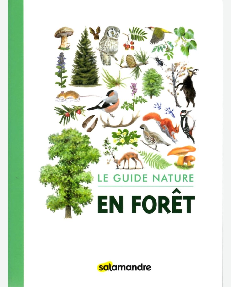 Champignons des forêts – Les petits livres de la nature - e-Librairie  Forêt.Nature/Salamandre