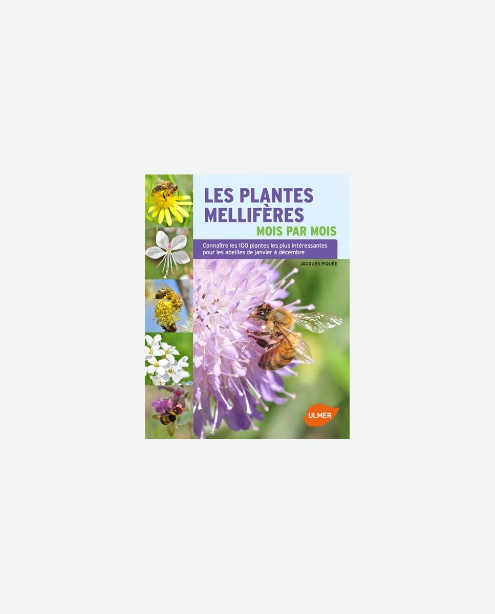 Les plantes mellifères mois par mois : connaître les 100 plantes les plus intéressantes pour les abeilles