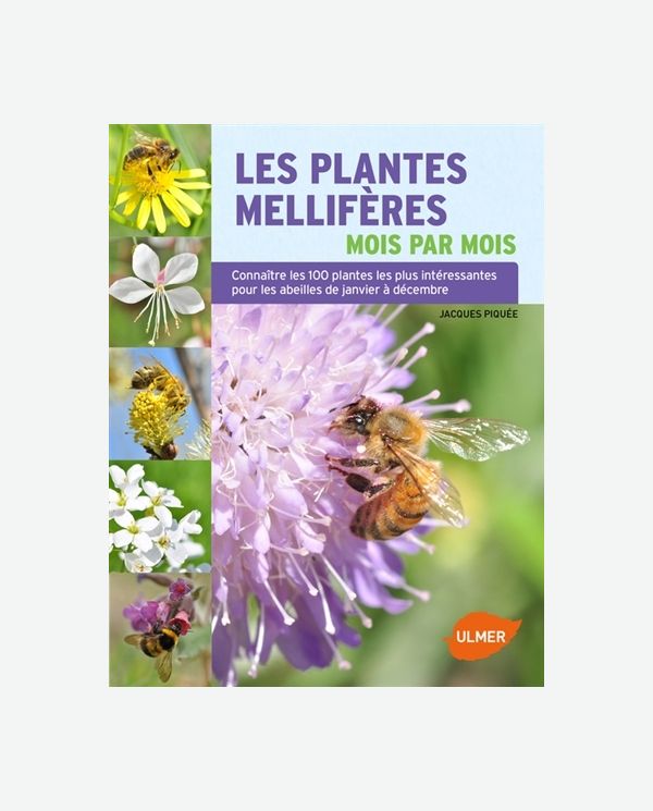 Les plantes mellifères mois par mois : connaître les 100 plantes les plus intéressantes pour les abeilles