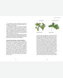 L'intelligence des plantes : les découvertes qui révolutionnent notre compréhension du monde végétal