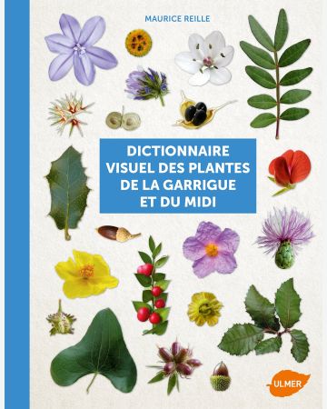 Dictionnaire visuel des plantes de la garrigue et du Midi