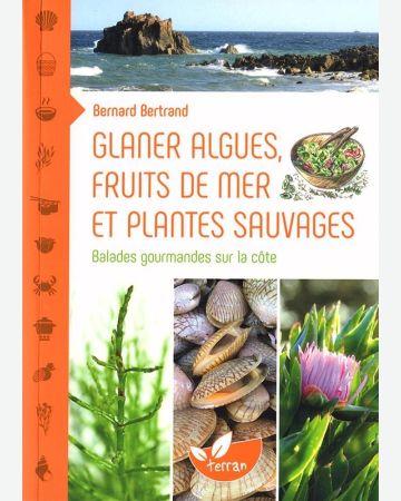 Glaner algues, fruits de mer et plantes sauvages