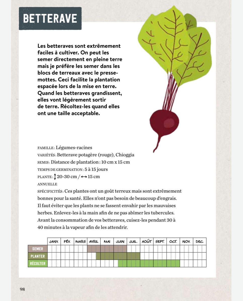 Comment bien débuter son potager ? - Retrouvez nos articles sur le Blog  d'Ambius France