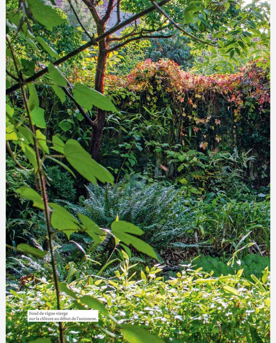 Livre : Petit atlas des plantes médicinales : 60 plantes pour bien